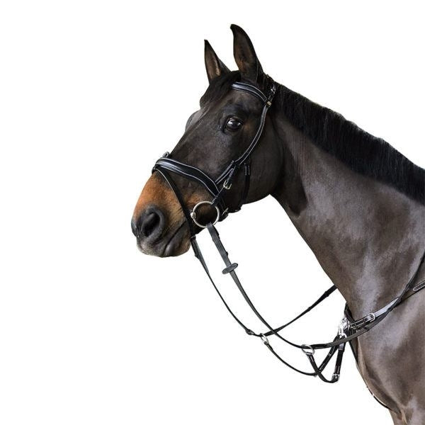 BRIGLIA ERGONOMICA PARIANI