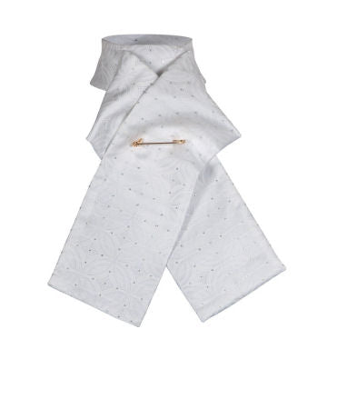PLASTRON PRONTO