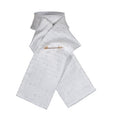 PLASTRON PRONTO
