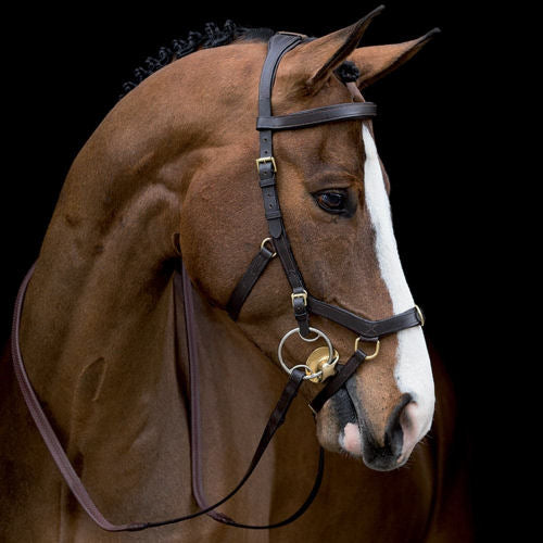 RAMBO MICKLEY MULTIBRIDLE