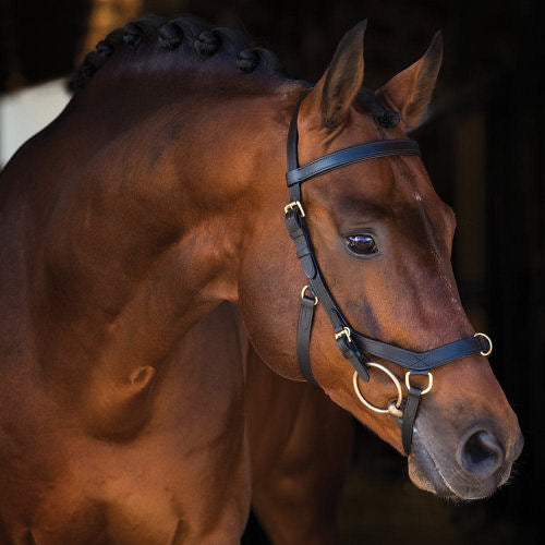 RAMBO MICKLEY MULTIBRIDLE