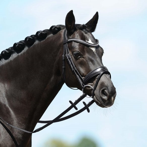 PASSIER BLU SPIRIT SNAFFLE