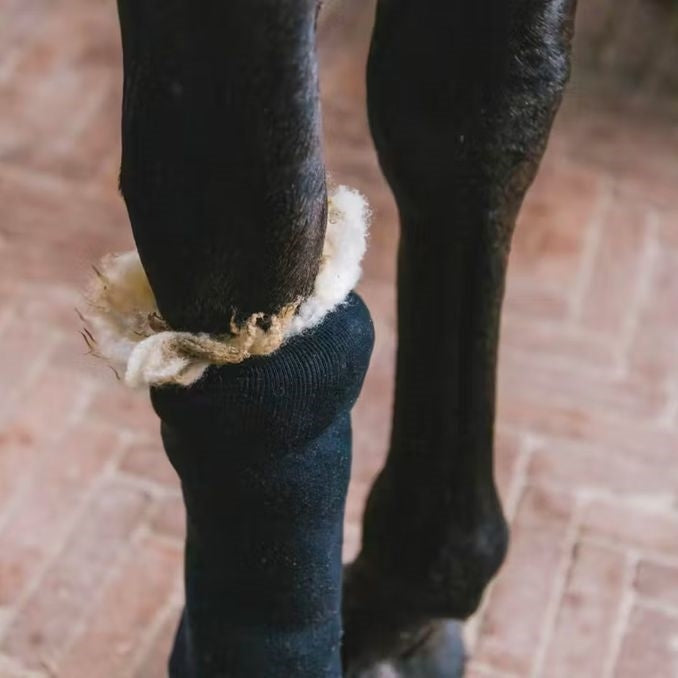 THERAPEUTIC WOOL KENTUKY