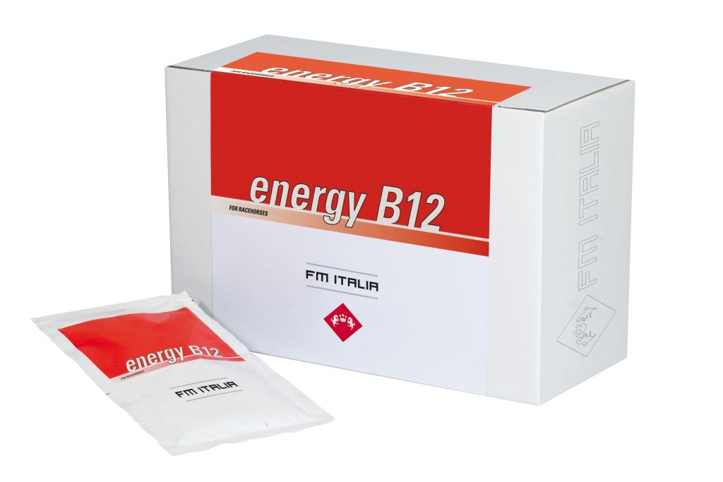 ENERGY B12 FMI