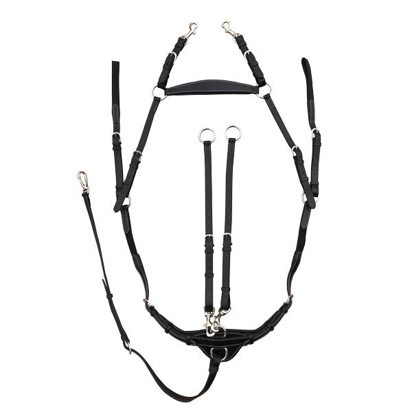PARIANI PETTORALE ERGONOMICO