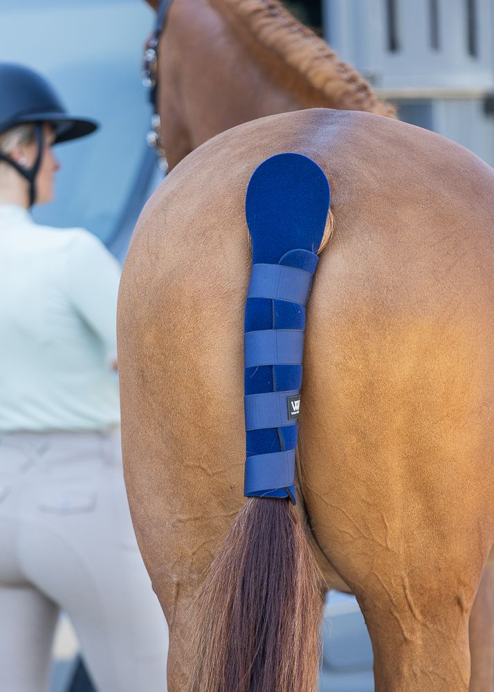 WW PARACODA IN NEOPRENE