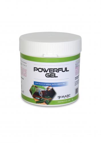 POWERFUL GEL MASC