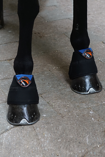 EQUICK EARTIK COOLING BELLS BOOTS