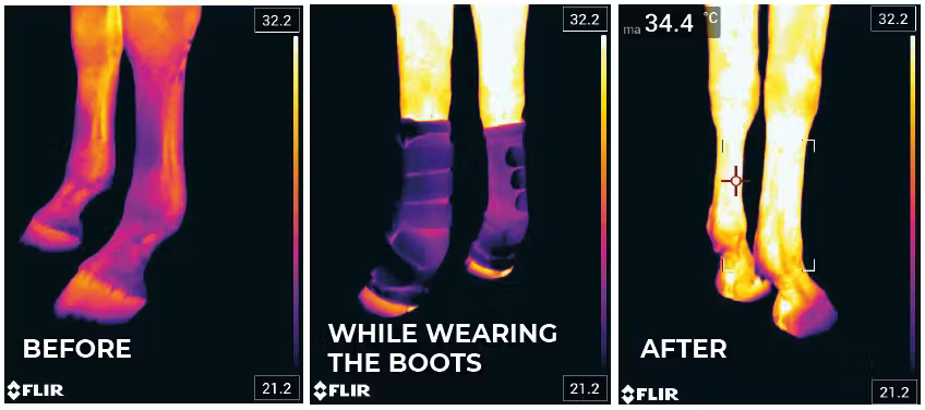 KENTUCKY MAGNETIC STABLE BOOTS RECUPTEX