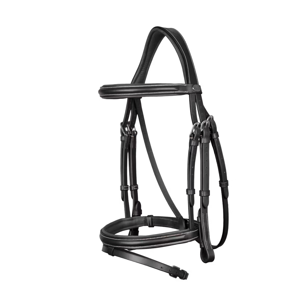 FLASH NOSEBAND BRIDLE WO DYON