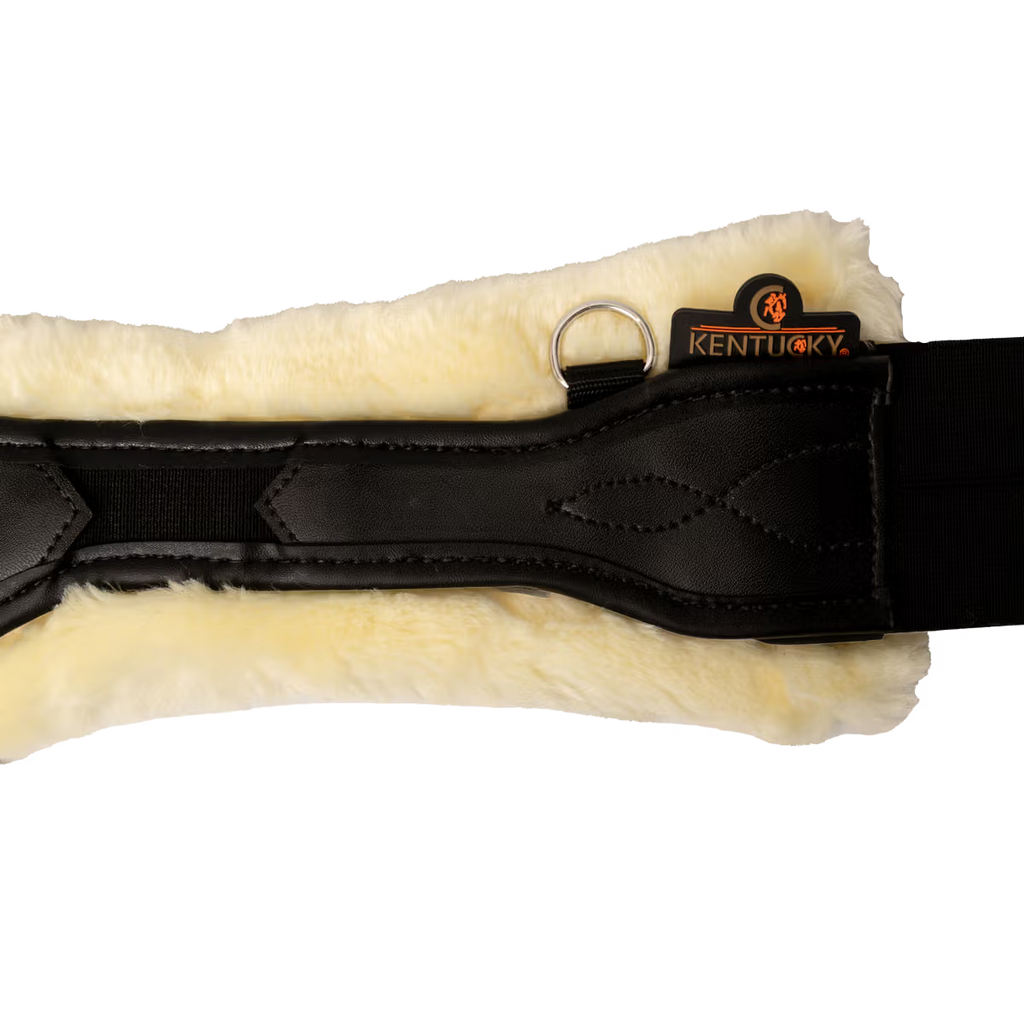 KENTUCKY SOTTOPANCIA ANATOMICO DA CROSS CON AGNELLO