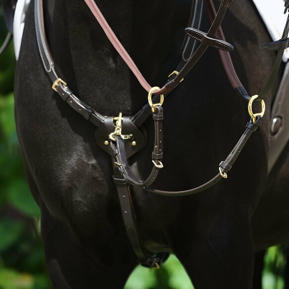 PASSIER PETTORALE BY MARCUS EHNING
