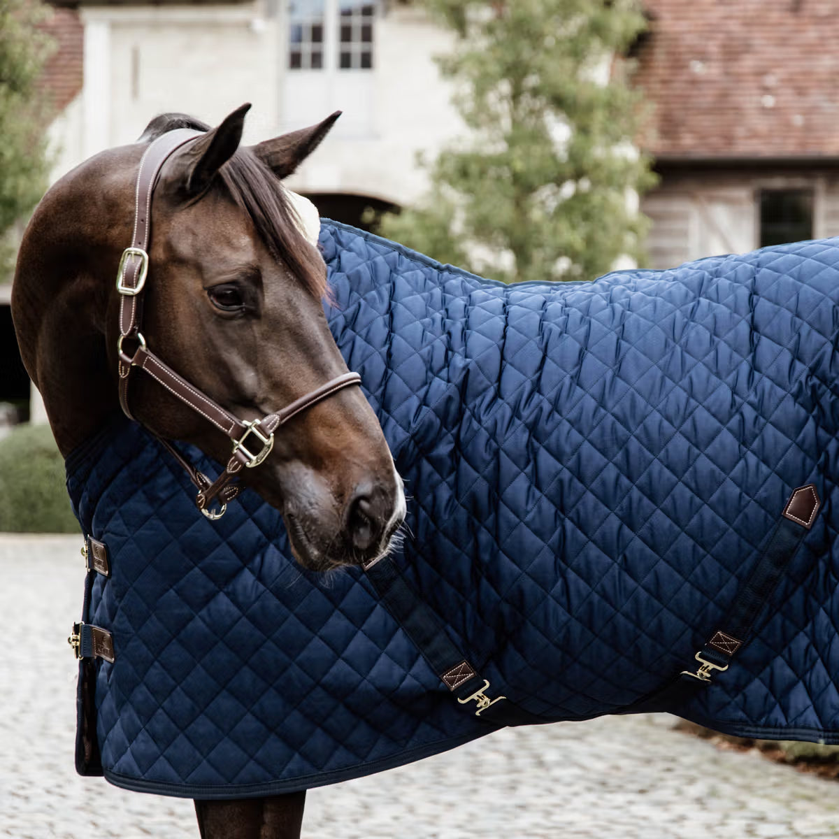 COPERTA DA BOX 400GR KENTUCKY