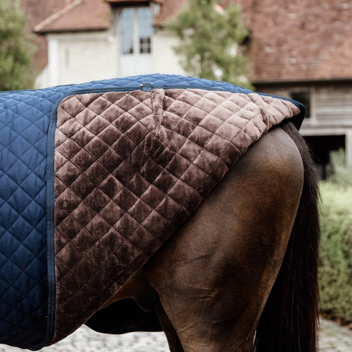 COPERTA DA BOX 200GR KENTUCKY