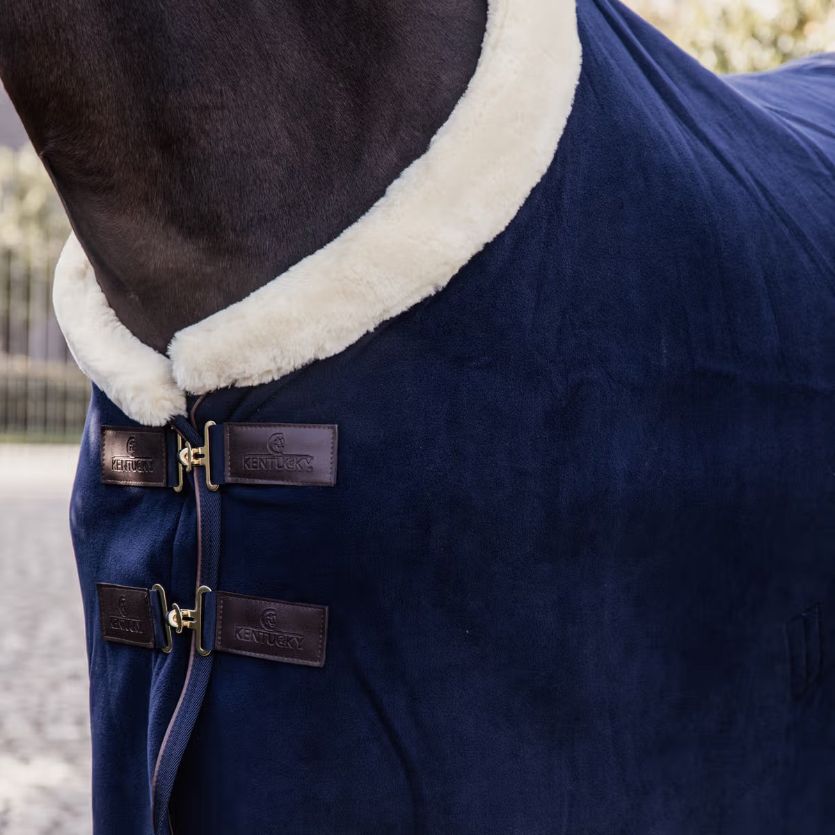 COPERTA IN PILE KENTUCKY