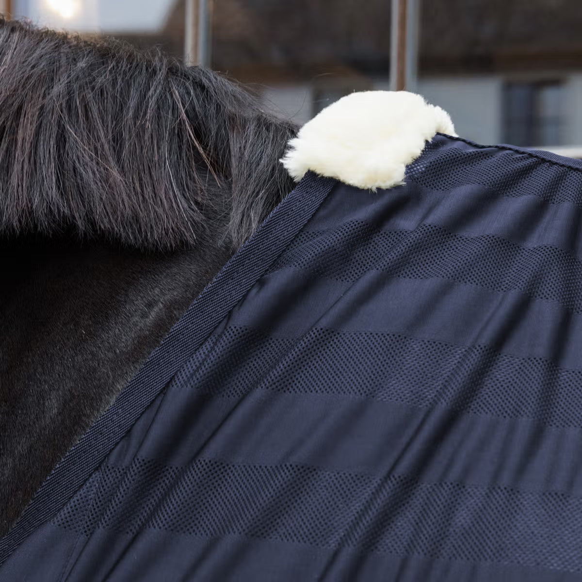COPERTA ANTIMOSCHE KENTUCKY