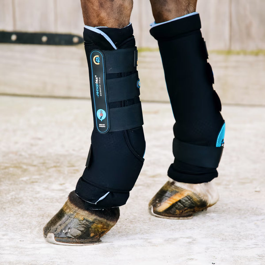 KENTUCKY MAGNETIC STABLE BOOTS RECUPTEX