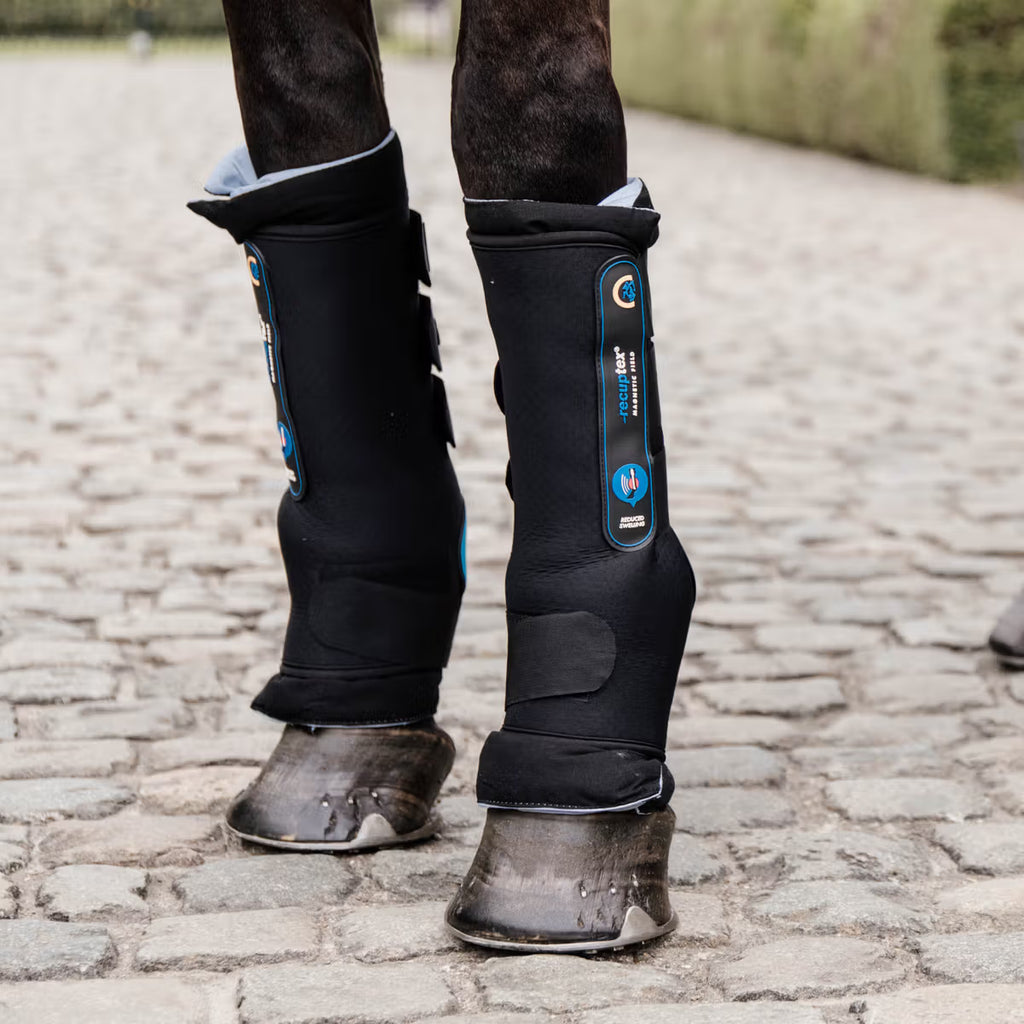 KENTUCKY MAGNETIC STABLE BOOTS RECUPTEX