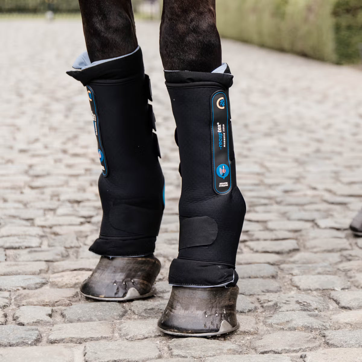 KENTUCKY MAGNETIC STABLE BOOTS RECUPTEX