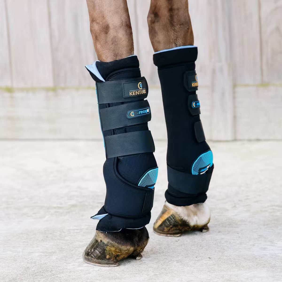 KENTUCKY MAGNETIC STABLE BOOTS RECUPTEX