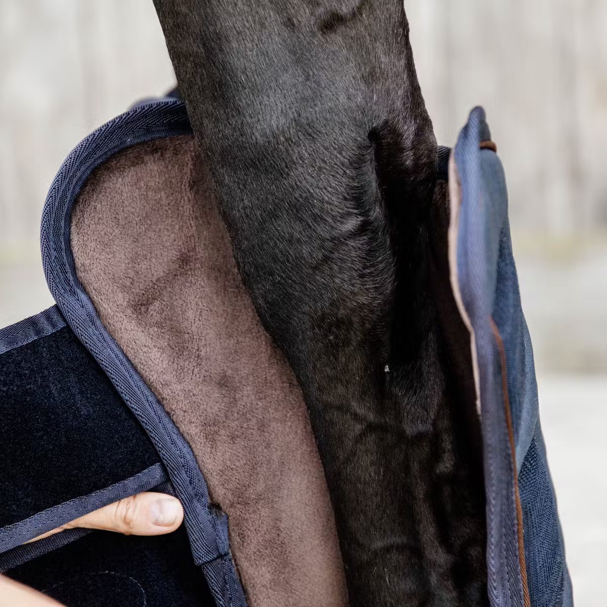 KENTUCKY TRAVEL BOOTS