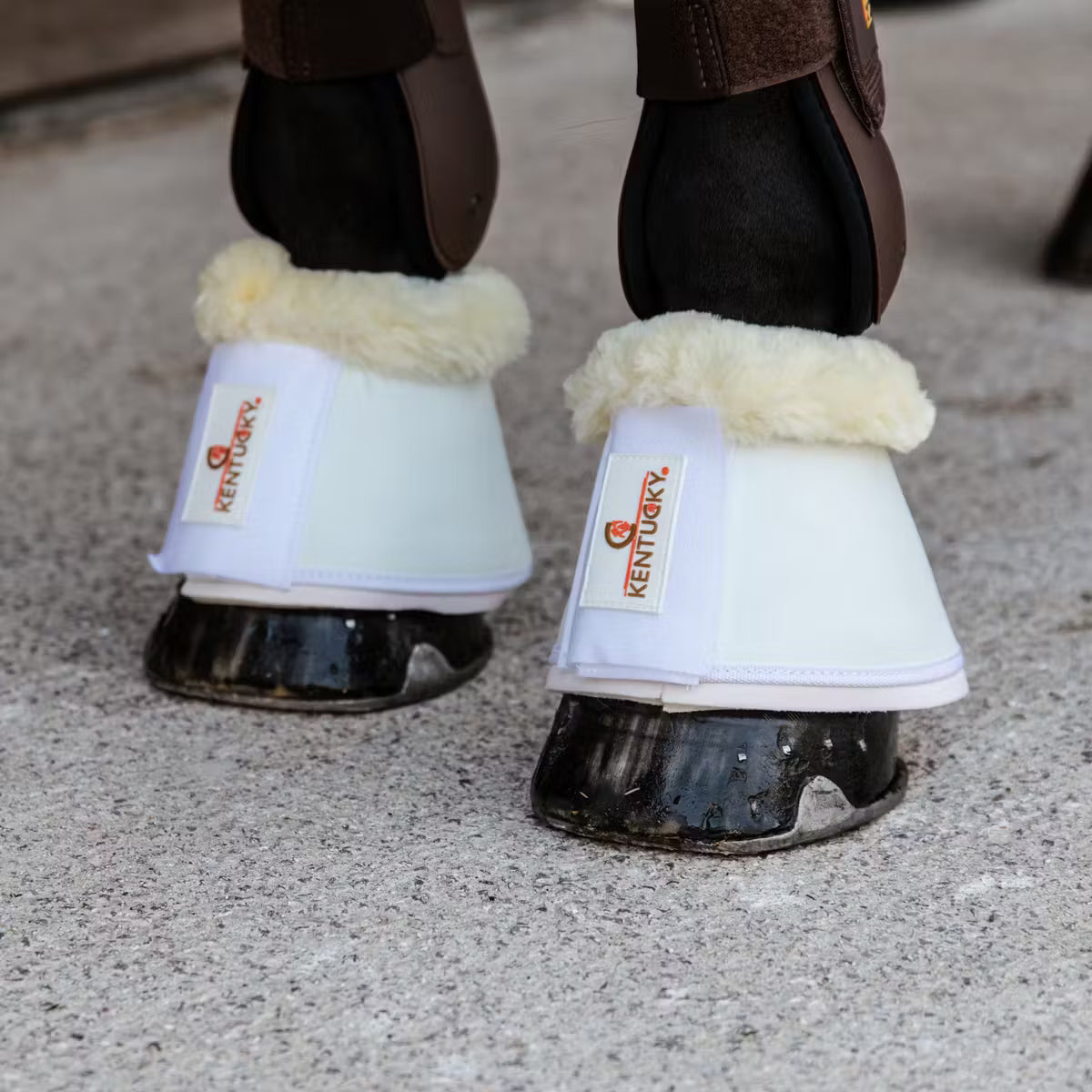 KENTUCKY SHEEPSKIN LEATHER OVERREACH
