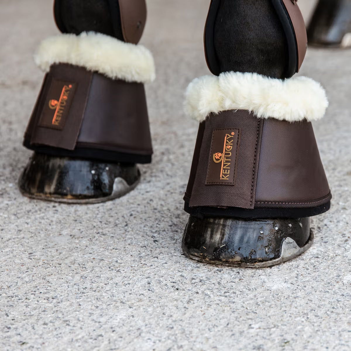 KENTUCKY SHEEPSKIN LEATHER OVERREACH