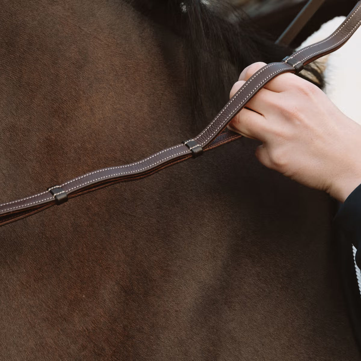 REDINI IN PELLE CON TRAVERSINI KENTUCKY
