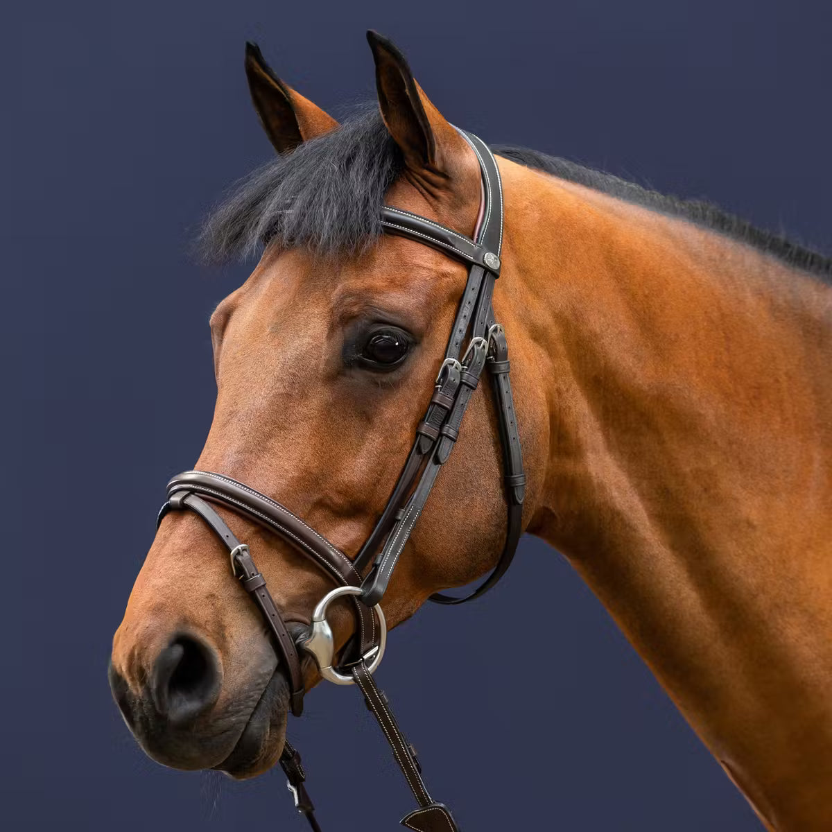 FLASH NOSEBAND BRIDLE WO DYON