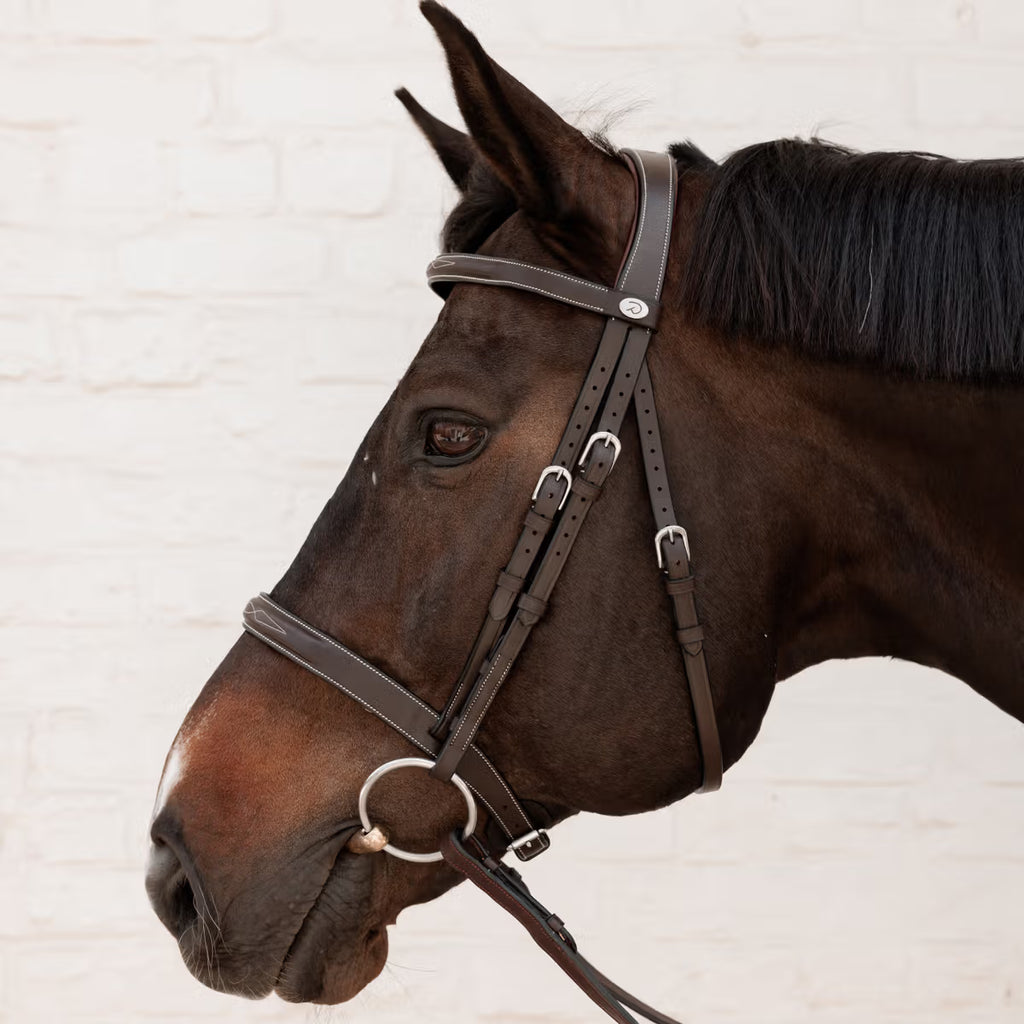 CAVESSON HUNTER BRIDLE WO DYON