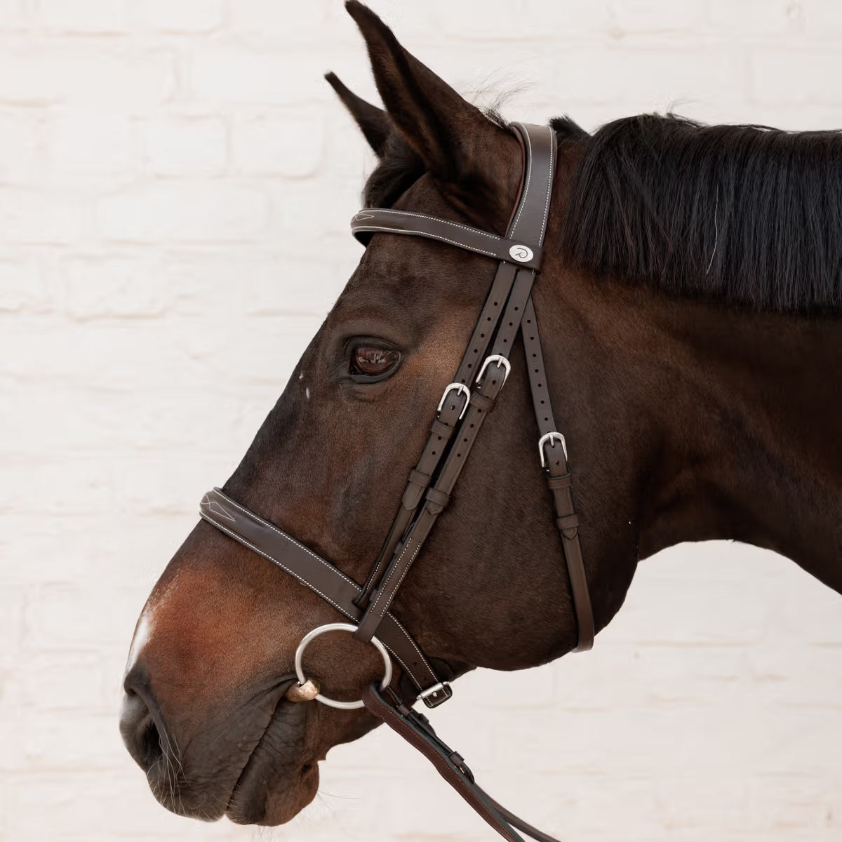 CAVESSON HUNTER BRIDLE WO DYON
