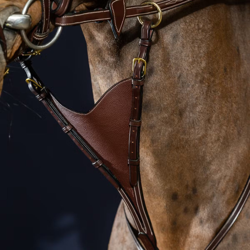 FORCHETTA MARTINGALA KENTUCKY