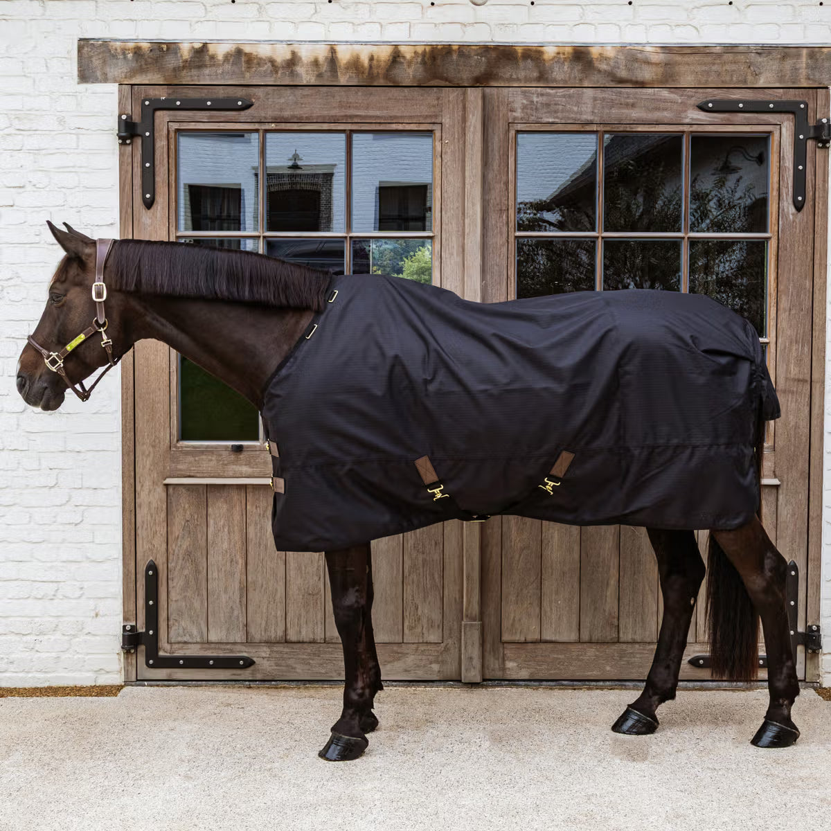 COPERTA DA PADDOCK 50G KENTUCKY