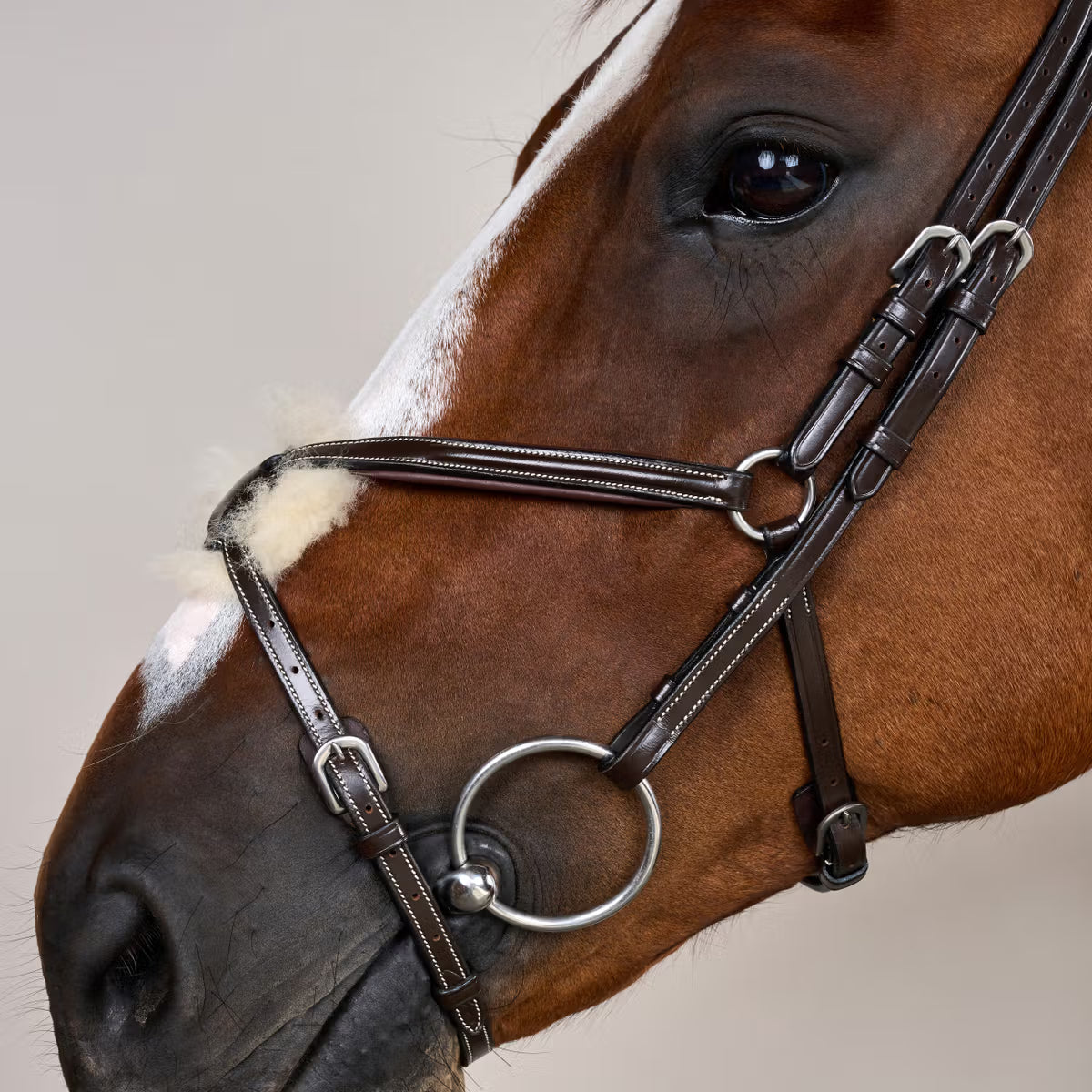 FUGURE 8 NOSEBAND BRIDLE WO DYON
