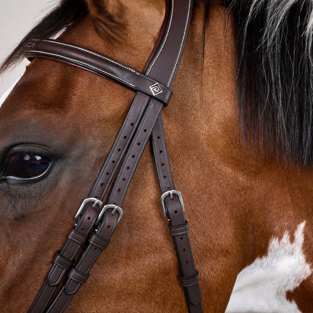 FLAH NOSEBAND BRIDLE WITH SNAP CHEEKPIECES WO DYON