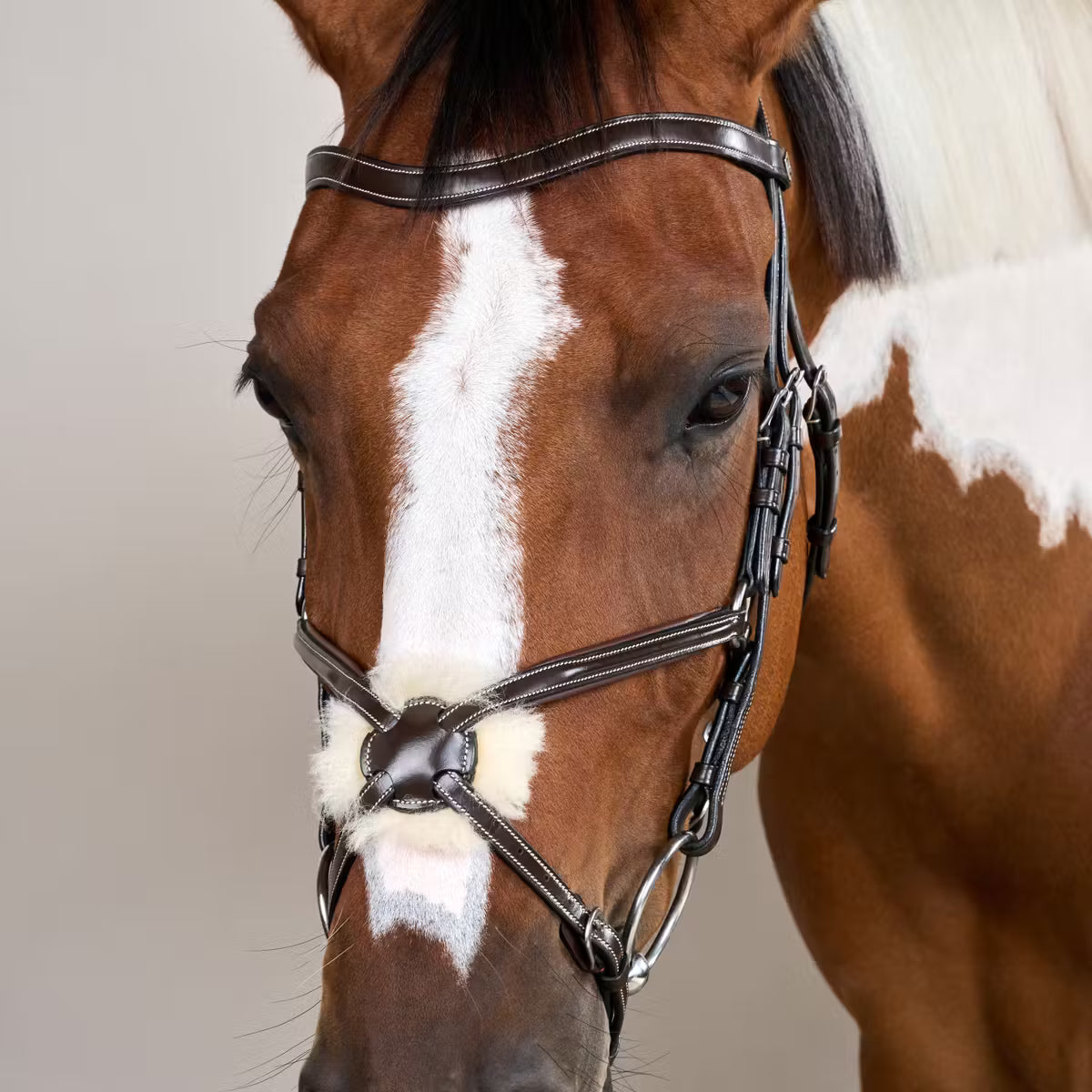 FUGURE 8 NOSEBAND BRIDLE WO DYON