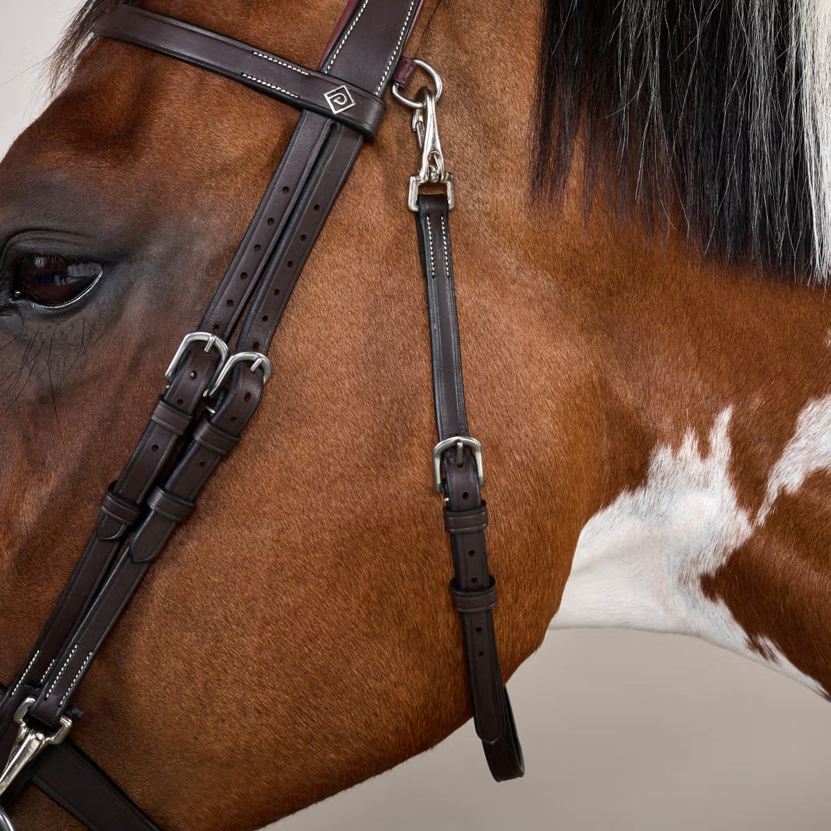 FLAT LEATHER BRIDLE WITH SNAP HOOKS WO DYON