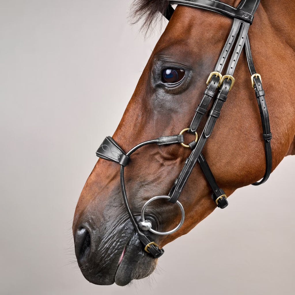 HYBRID NOSEBAND BRIDLE DYON