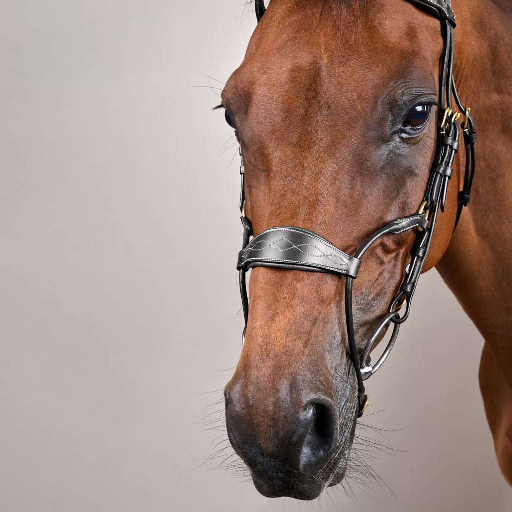 HYBRID NOSEBAND BRIDLE DYON