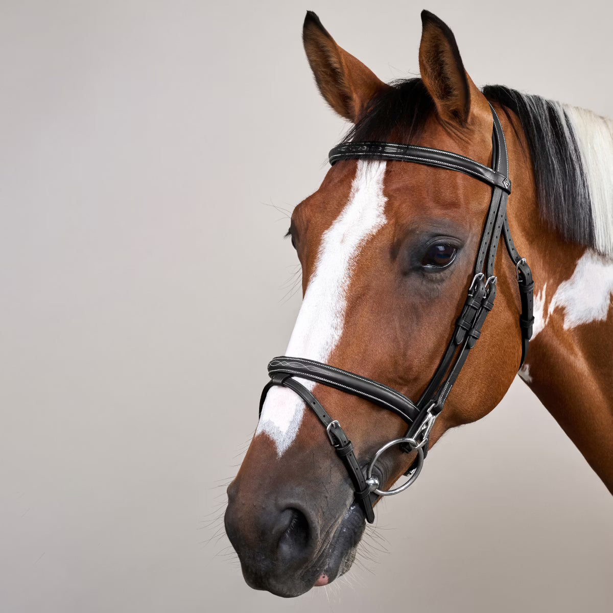 FLAH NOSEBAND BRIDLE WITH SNAP CHEEKPIECES WO DYON