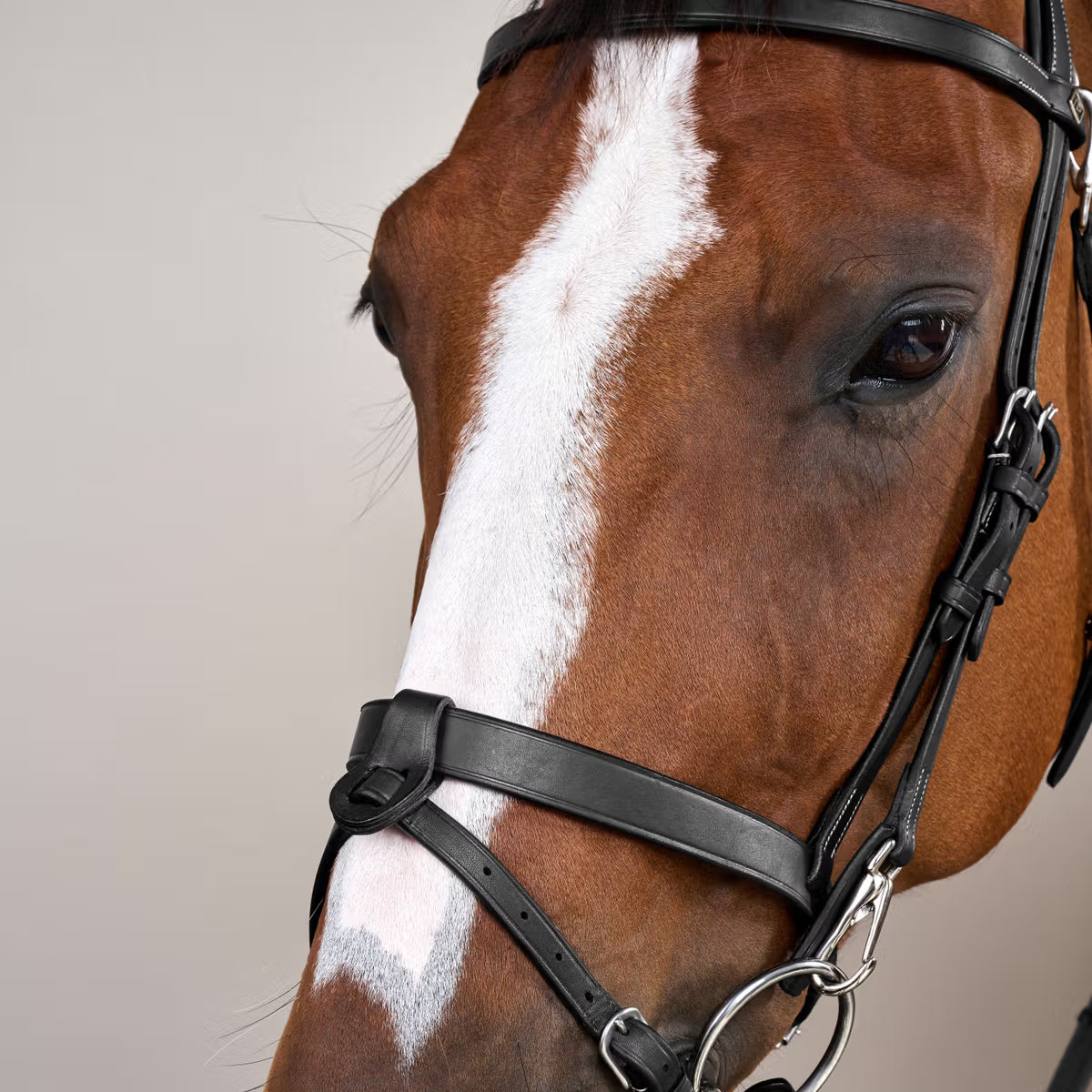 FLAT LEATHER BRIDLE WITH SNAP HOOKS WO DYON