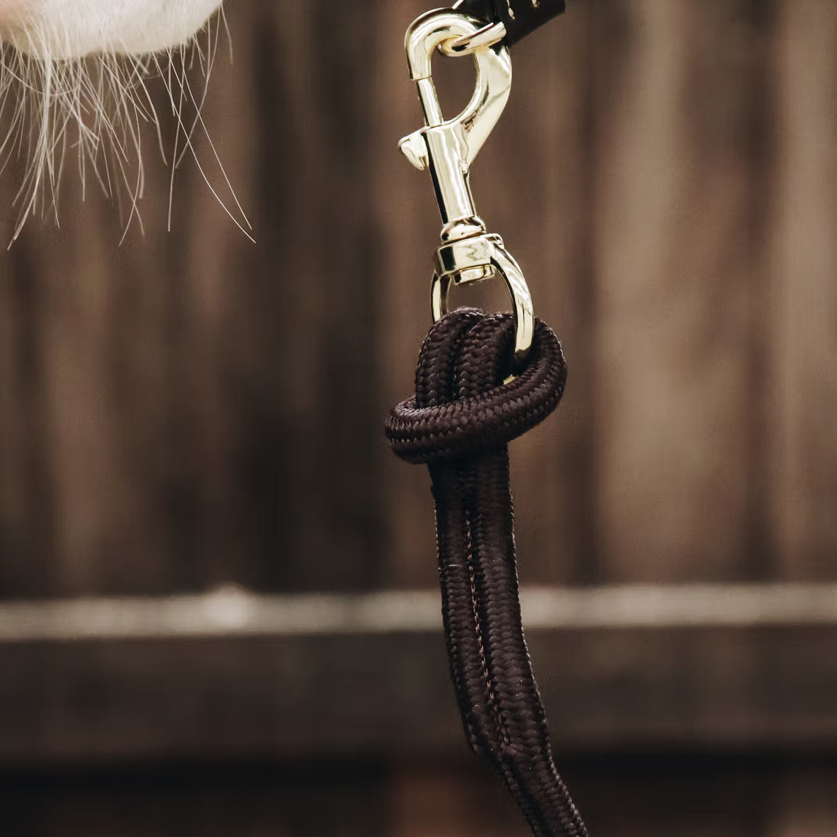 LUNGHINA CON ANELLO KENTUCKY