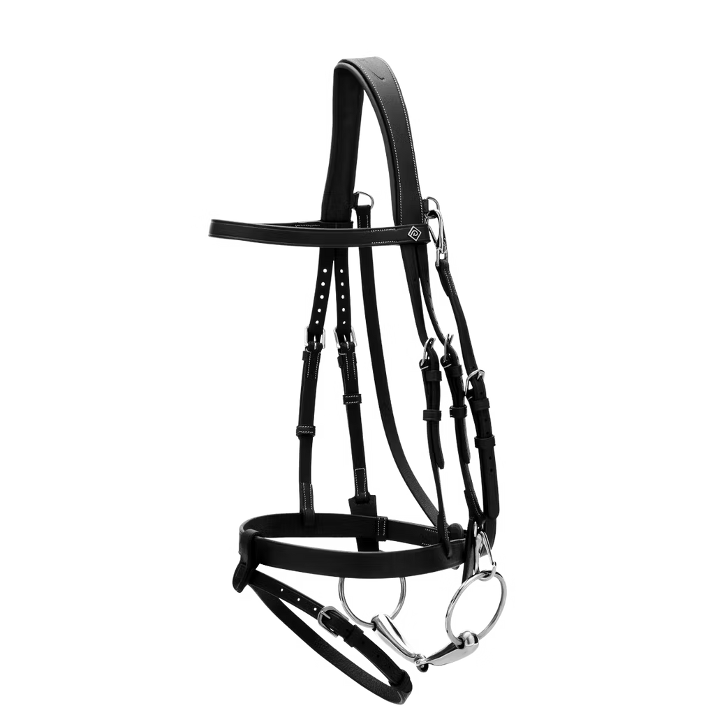 FLAT LEATHER BRIDLE WITH SNAP HOOKS WO DYON