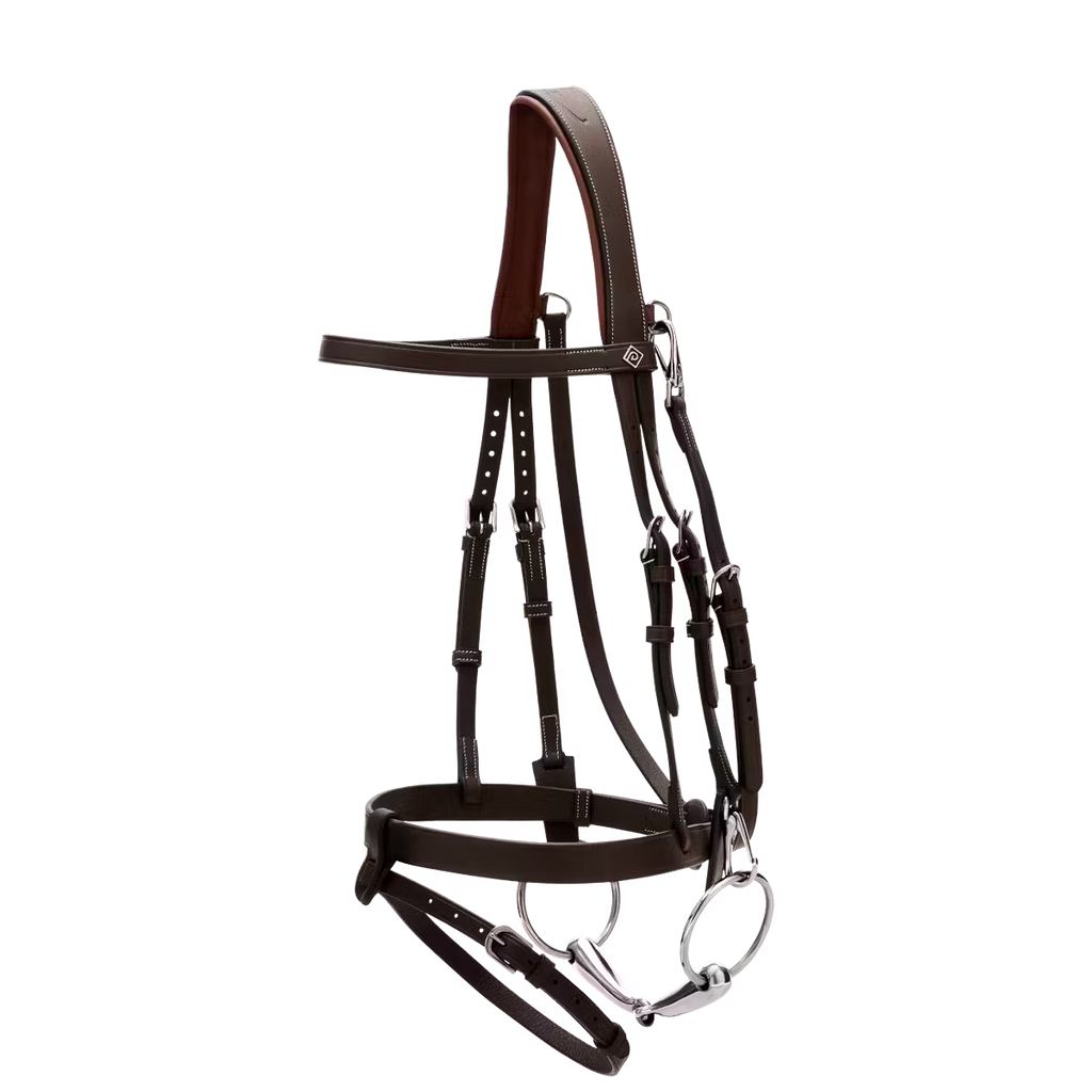 FLAT LEATHER BRIDLE WITH SNAP HOOKS WO DYON