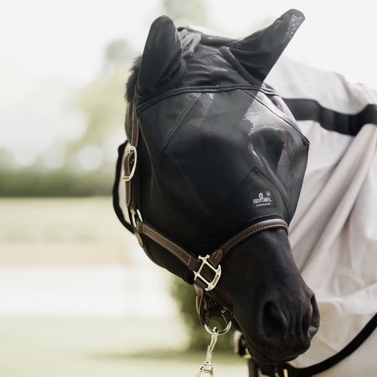 MASCHERA ANTI-MOSCHE EARS KENTUCKY