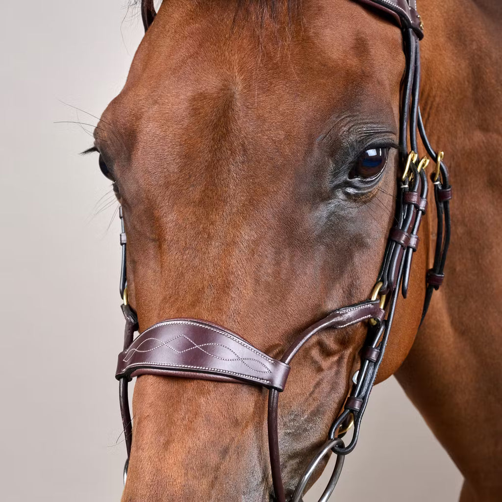 HYBRID NOSEBAND BRIDLE DYON