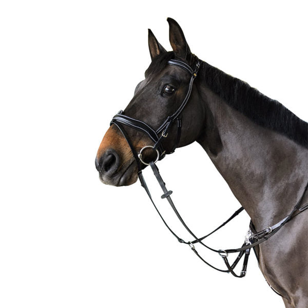 PARIANI PETTORALE ERGONOMICO