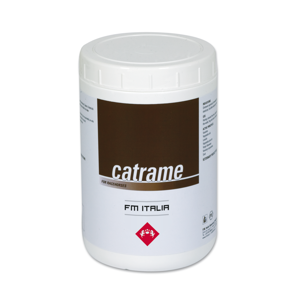 CATRAME FMI