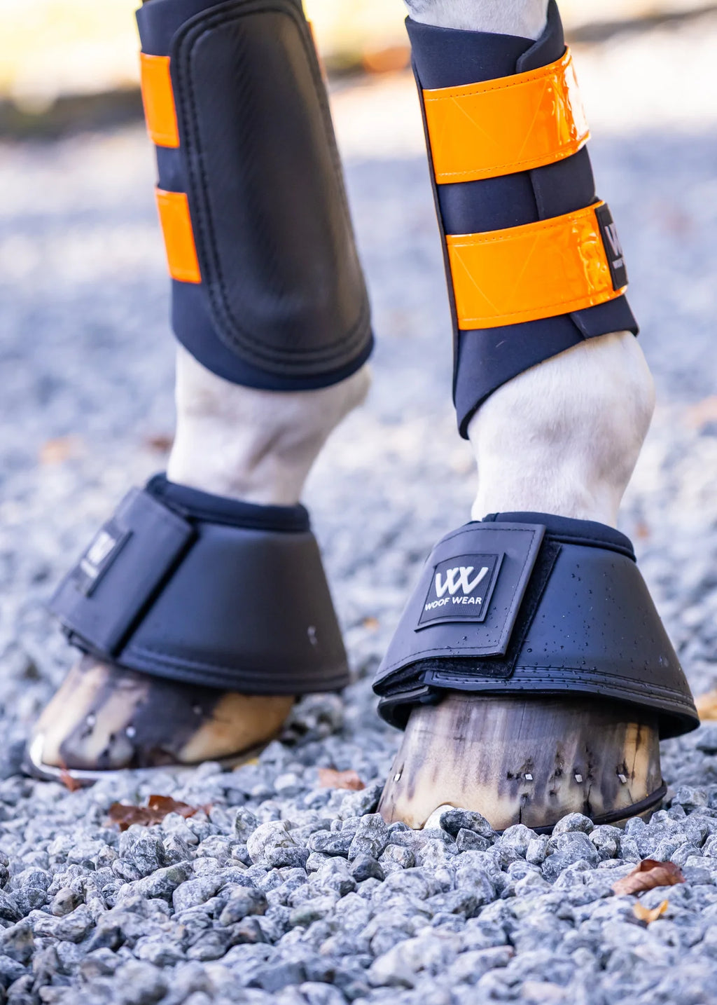 PRO OVERREACH BOOT WW