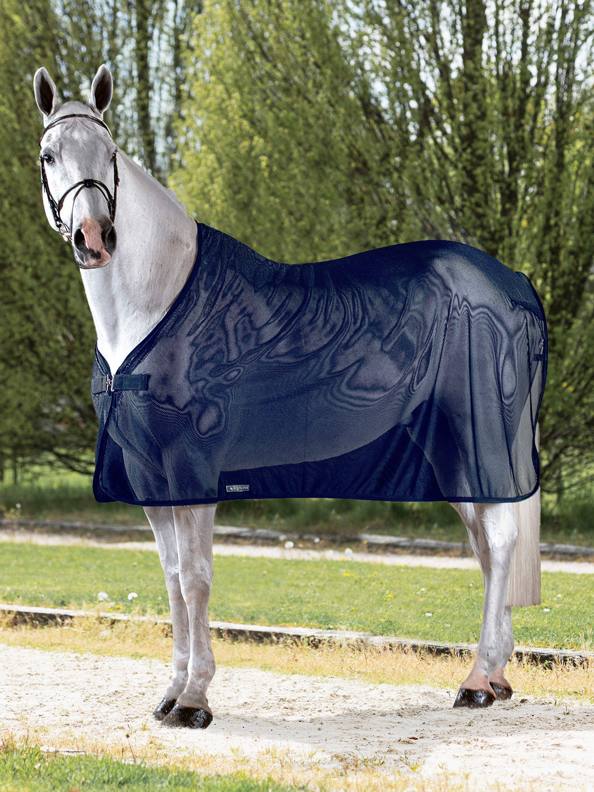COPERTA RETE ANTIMOSCHE WESTON EQUILINE
